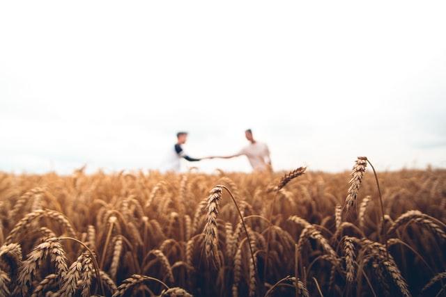 The farmer is loyal, empathetic, and team-oriented. They may not close the most sales in the shortest time, but they'll build relationships that last.
